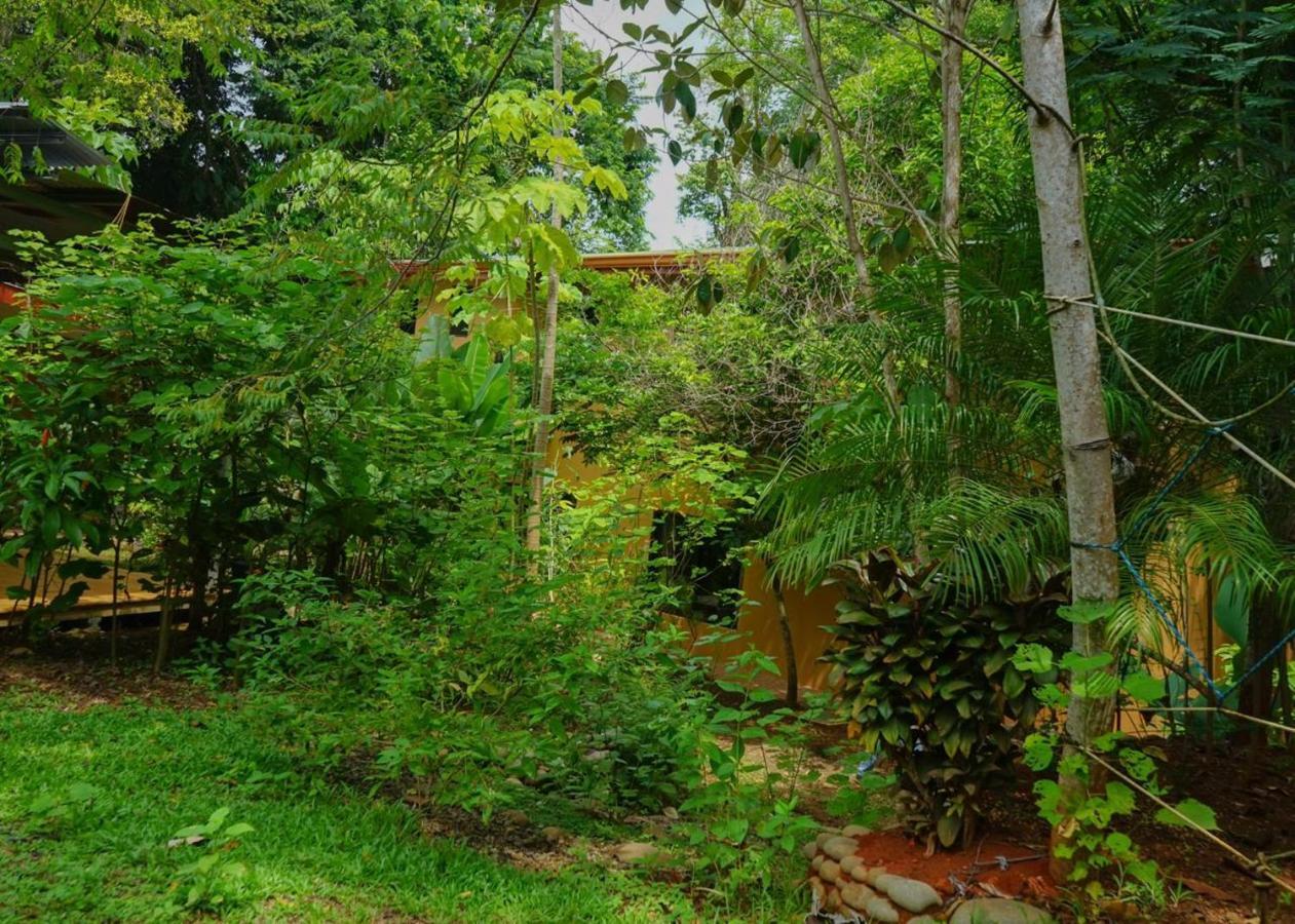 Hospedaje el Bosquecito Uvita Exterior foto