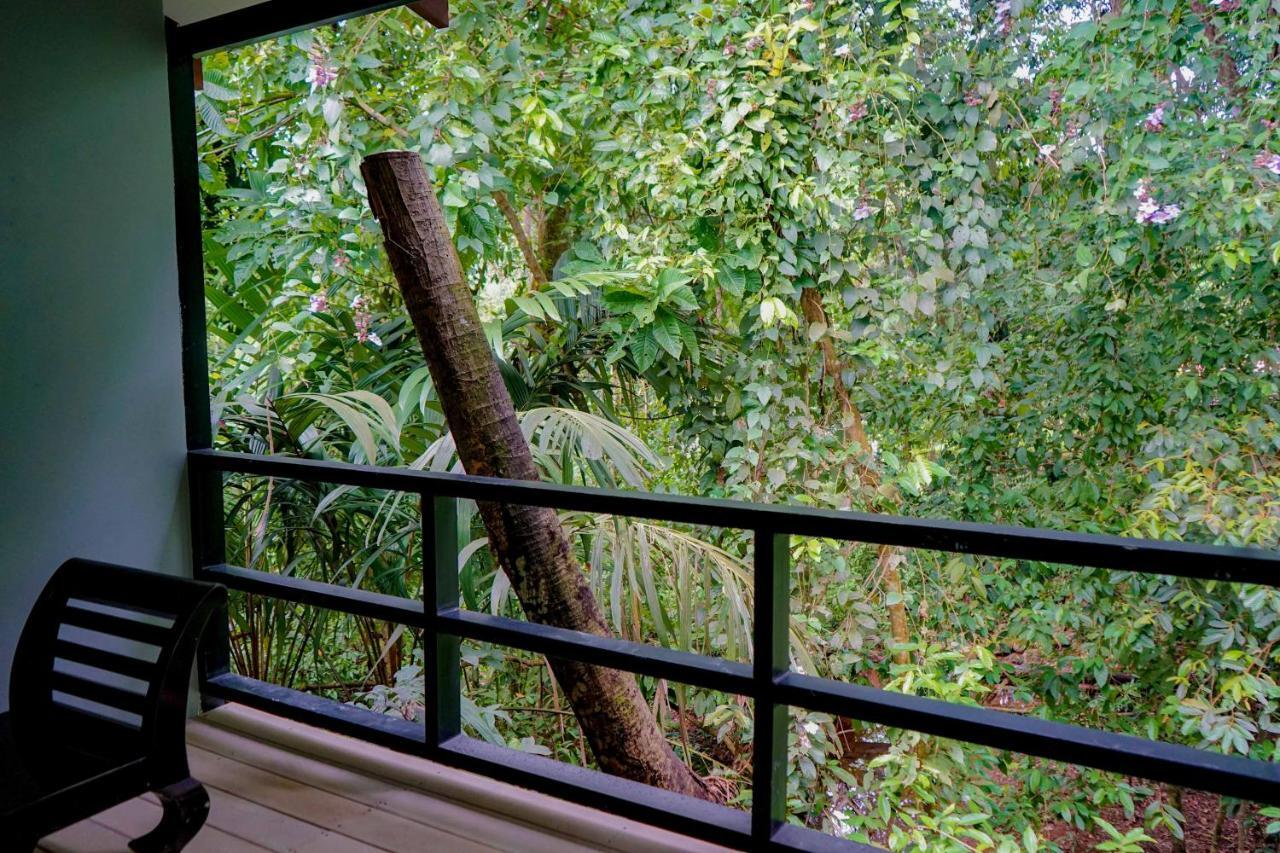 Hospedaje el Bosquecito Uvita Exterior foto