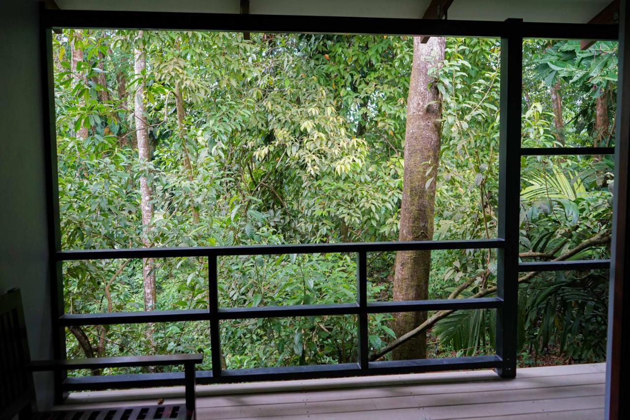 Hospedaje el Bosquecito Uvita Exterior foto